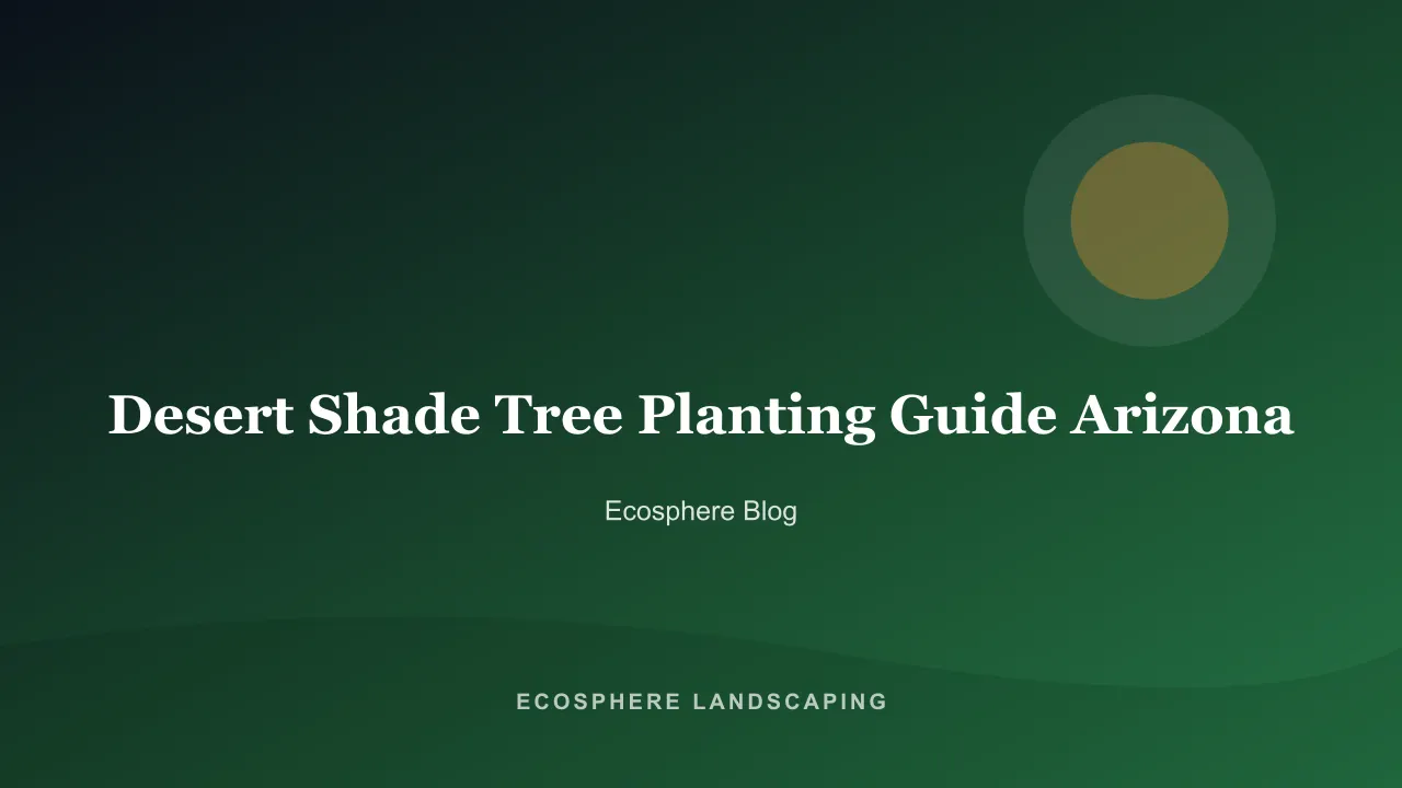 Newly planted desert shade tree in an Arizona backyard with a wide watering basin and mulch over decomposed granite