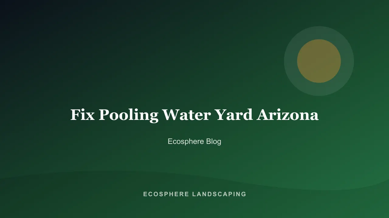 Standing water pooling over decomposed granite in a low spot of an Arizona desert yard after rain