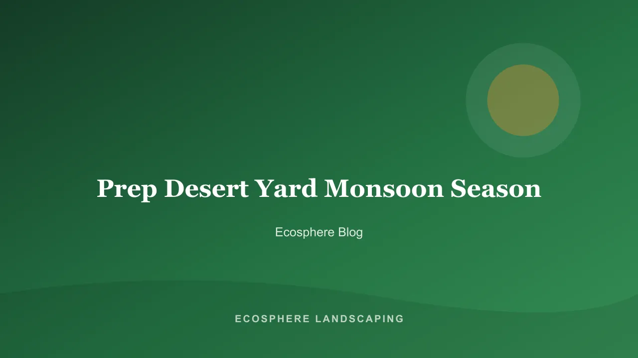 Arizona desert yard being prepped before monsoon with a thinned palo verde and graded drainage swale