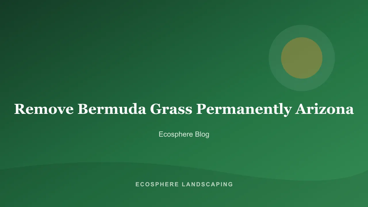Bermuda grass being stripped from an Arizona front yard with runners and rhizomes exposed before xeriscape conversion